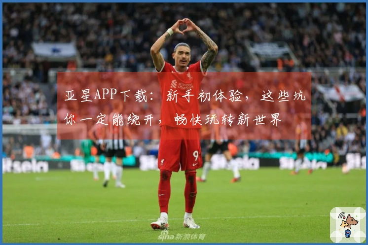 亚星APP下载：新手初体验，这些坑你一定能绕开，畅快玩转新世界