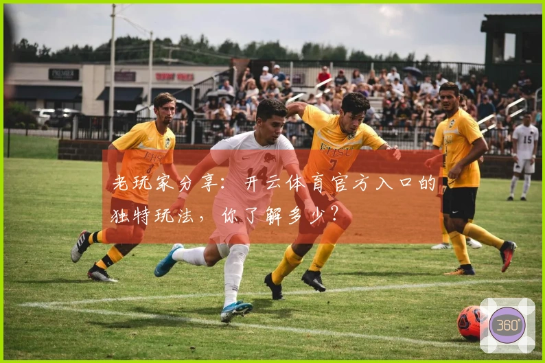 老玩家分享：开云体育官方入口的独特玩法，你了解多少？
