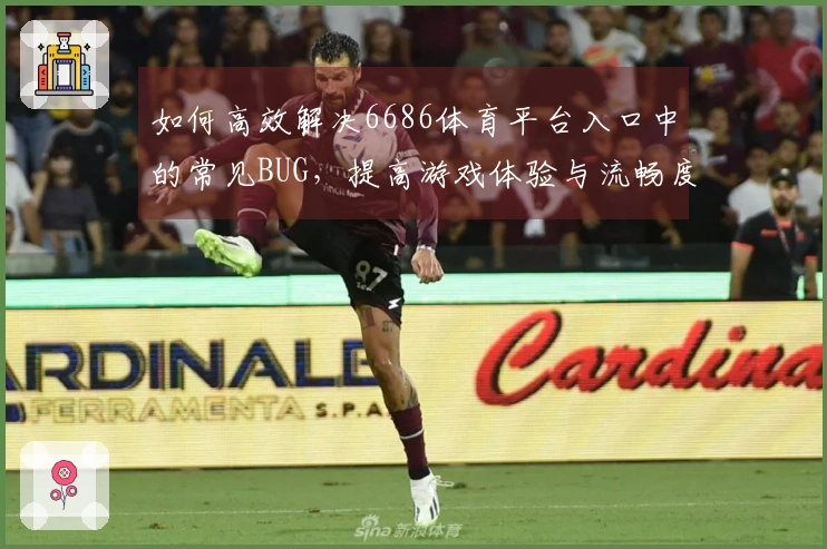 如何高效解决6686体育平台入口中的常见BUG，提高游戏体验与流畅度